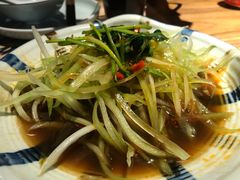 -猫头婴小酒馆FUN OWL(1912店)