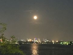 -西湖外事游船(花港观鱼码头)