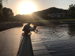 -上海月湖雕塑公园