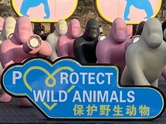 -北京野生动物园