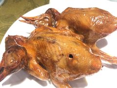 -琬苑鸽庄·川粤融合菜(解放碑总店)