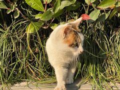 -苏州河梦清园环保主题公园