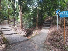 -风云岭森林公园