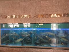 -淘米捞·米汤脆鲩鱼火锅(福田皇岗店)