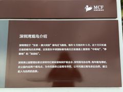 -深圳湾公园(南山区)