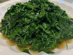 酒香金花菜-得月楼·省级非遗·传统苏帮菜(观前店)