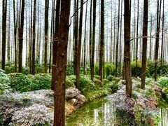 -上海怡沁园度假酒店