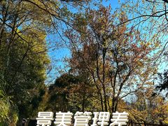-广州市石门国家森林公园