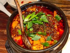 -陈麻婆豆腐(旗舰店)