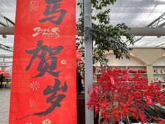 -荷兰花海