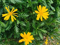 -杭州城北体育公园