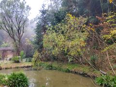 -常德桃花源景区