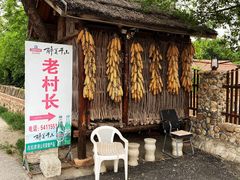 -老村长农家院