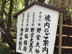 -野宫神社