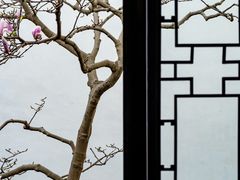 -拙政园