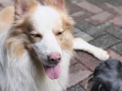 -豆舞咖啡(民乐路店)