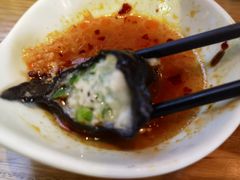 -船歌鱼水饺(华联万柳店)
