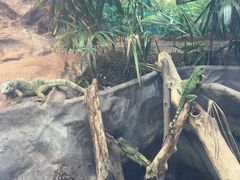 -上海大自然野生昆虫馆(东方明珠·爬宠昆虫探索中心)