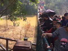 -南宁良凤江国家森林公园