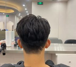 -藤野造型