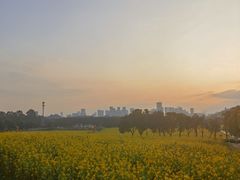 -光明小镇欢乐田园