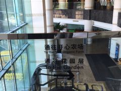 -上海佘山世茂艾美酒店