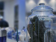 -蔻蔻椰·鲜萃椰子水(COCO Park店)