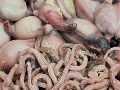 -李柱·柘城垛子羊肉旗舰店(通泰路店)