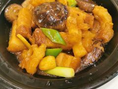 花菇火腩蹄筋煲-御彩酒家(东风东路店)