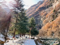 -少华山国家森林公园