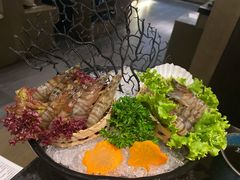 基围虾-湊湊火锅·茶憩(打浦桥日月光店)