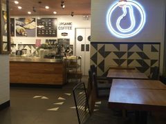 -油梨树 AVOCADO TREE(亮马桥店)