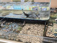 -天盛海鲜烧烤大排档·本地小海鲜·牟平腿穗子(幸福店)