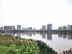 -飞来湖湿地公园