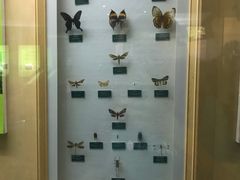 -陕西自然博物馆