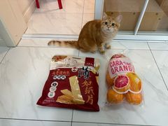 -山姆会员商店(上海浦东店)