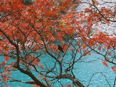 -叠溪松坪沟景区