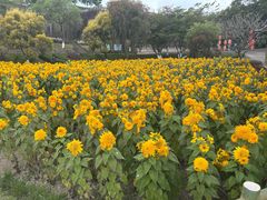-广州莲花山旅游区