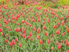 -长春公园(普阳街道)