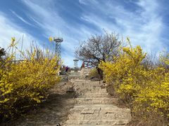 -北京西山国家森林公园