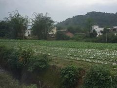 -乳源丽宫国际温泉酒店