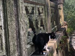 -韬光茶庵