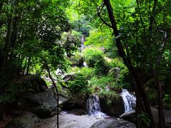 -山沟沟景区