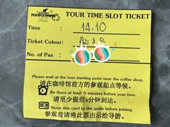 -大象粑粑造纸公园