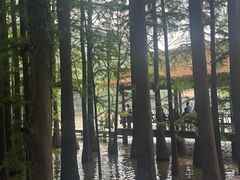 -采石矶景区