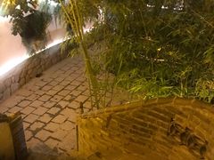 -老张烤羊(王哥庄店)