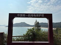 -广东惠东海龟国家级自然保护区