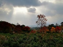 -塔川景区