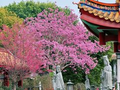-天竺岩寺
