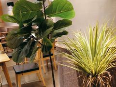 -秀玉coffee&kitchen(黄石大上海店)